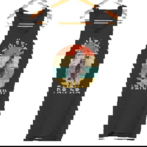 Save The Trash Panda Raccoon Animal Retro Vintage Sunset Tank Top - Raccsy AU