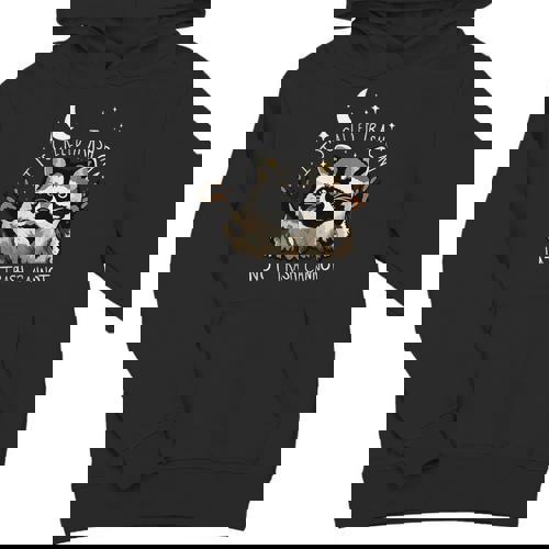 Funny Raccoon Hoodie - Youth Unisex | Casual Fun - Raccsy