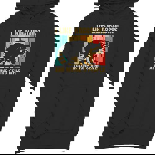 Raccoon Lover Introvert Hoodie - Unisex Youth Sweatshirt for Men and Women - Raccsy