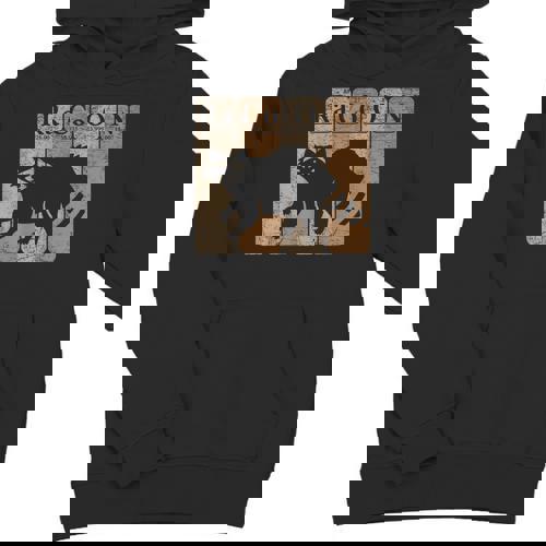 Raccoon Periodic Table Hoodie - Unisex Youth Gift for Chemistry Fans - Raccsy