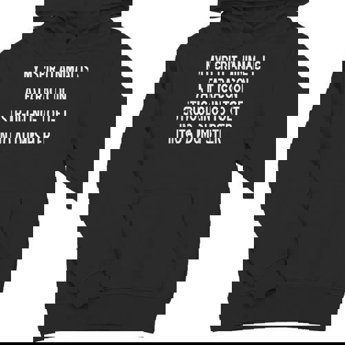 Sarcastic Raccoon Spirit Animal Unisex Youth Hoodie - Fun & Playful - Raccsy