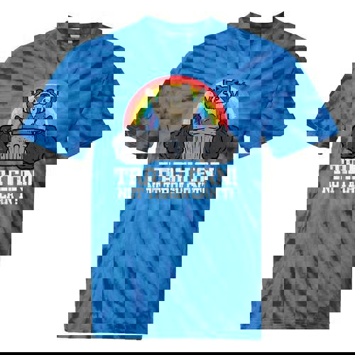 Raccoon Tie-Dye T-Shirt for Men, Women & Kids - Fun Animal Design - Raccsy