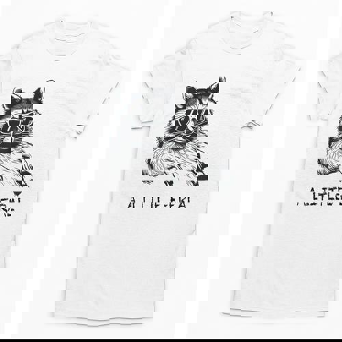 Raccoon Moon T-Shirt - Unisex Trash Panda Tee for Animal Lovers - Raccsy