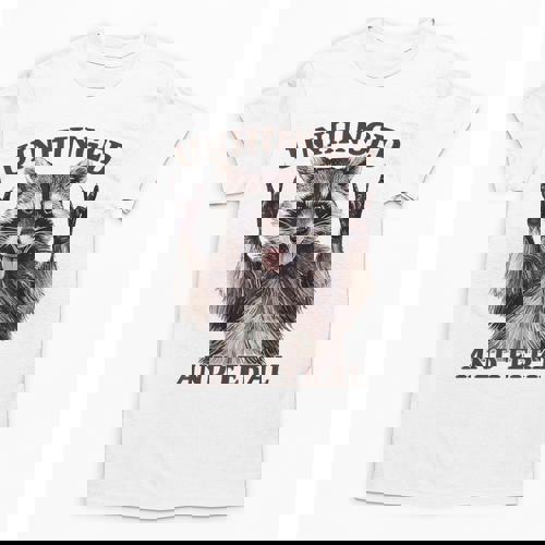 Retro Raccoon Unisex T-Shirt - Whimsical Summer Vibes - Raccsy