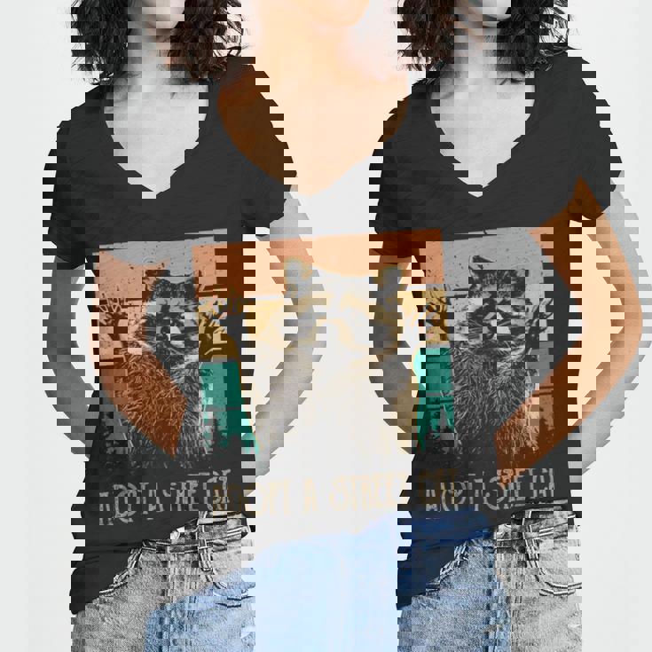 Adopt Street Cat Vintage Art V-Neck | Animal Lovers Tee
