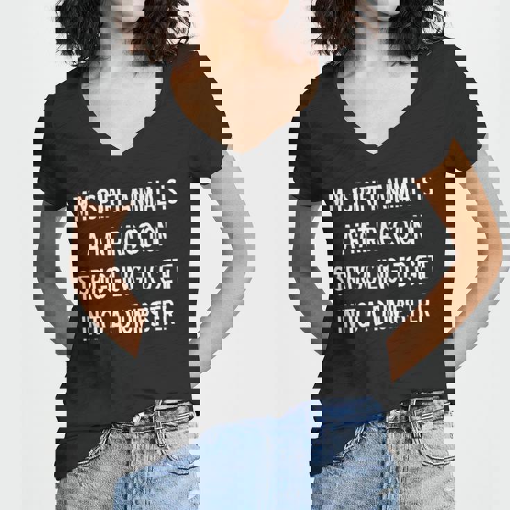 Fat Raccoon Spirit Animal Sarcastic Women's V-Neck T-Shirt
