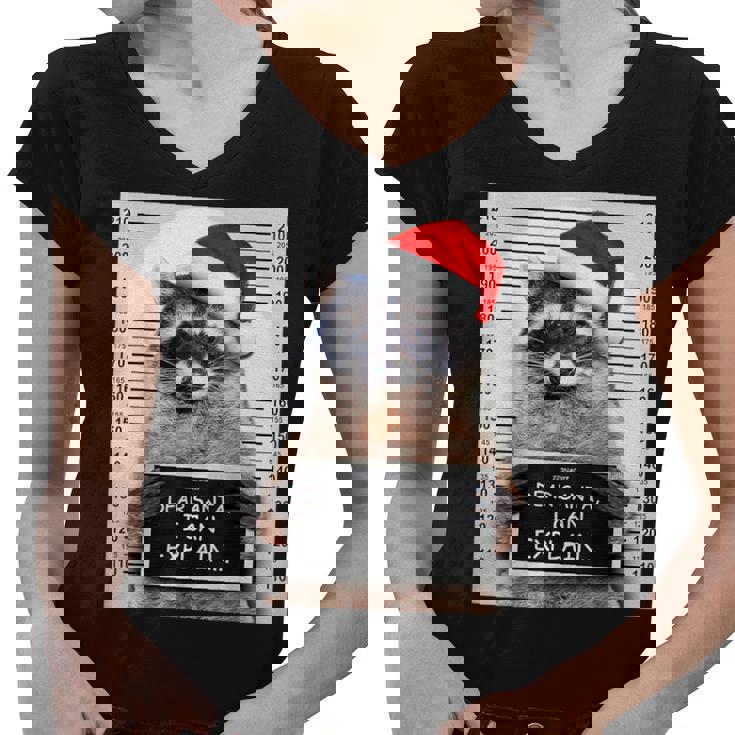 Dear Santa Raccoon Women's V-Neck T-Shirt - Fun Christmas Apparel