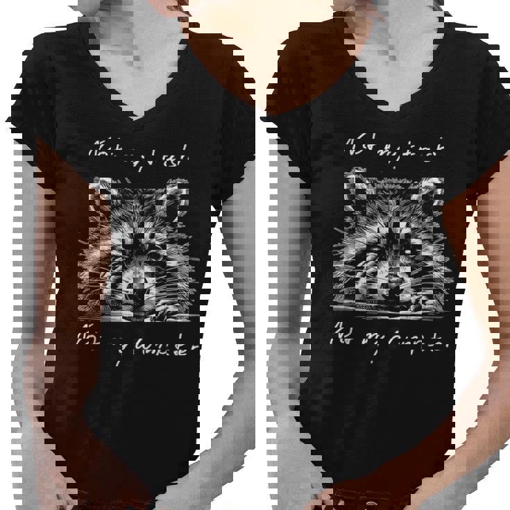 Not My Trash Not My Dumpster Cute Baby Raccoon Women's V-Neck T-Shirt