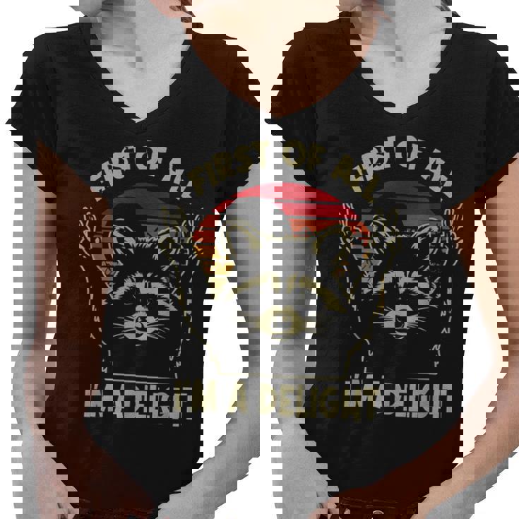 Sarcastic Raccoon Lover Women's V-Neck Tee – Delightful Humor