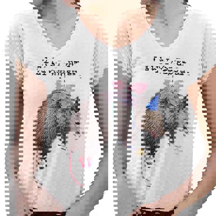 Fairy Godpossum & Raccoon Women's V-Neck T-Shirt - Whimsical Fun