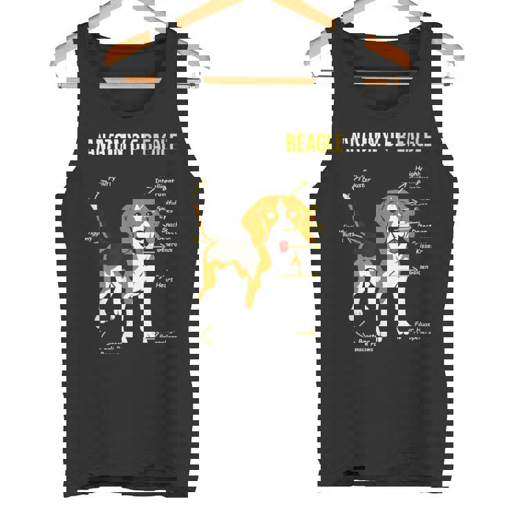 Anatomía De Beagle Dulce Beagle Camiseta sin mangas
