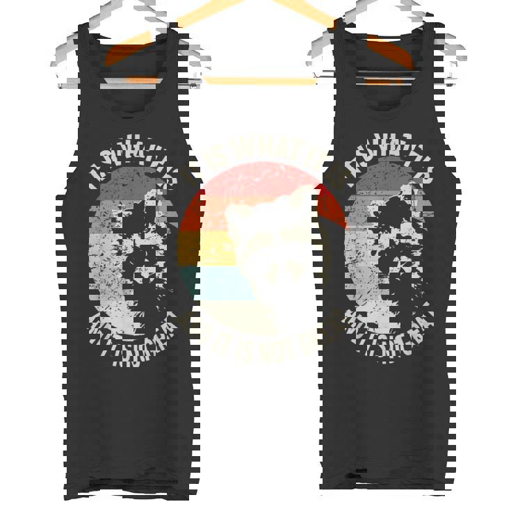 It Is What It Is And It Is Not Great Raccoon Vintage Tank Top