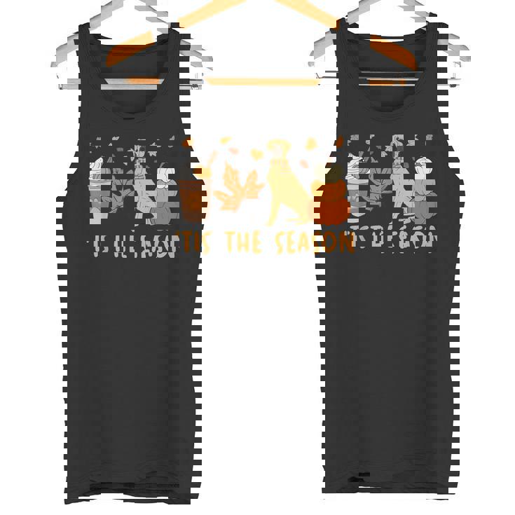 Tis The Season Great Dane Dog Fall Autumn Pumpkin Coffee Tank Top
