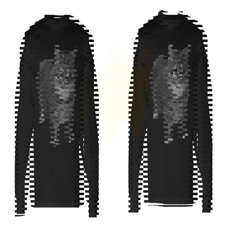 Oiia Oiia Spinning Cat Meme Long Sleeve T-Shirt Gifts ideas