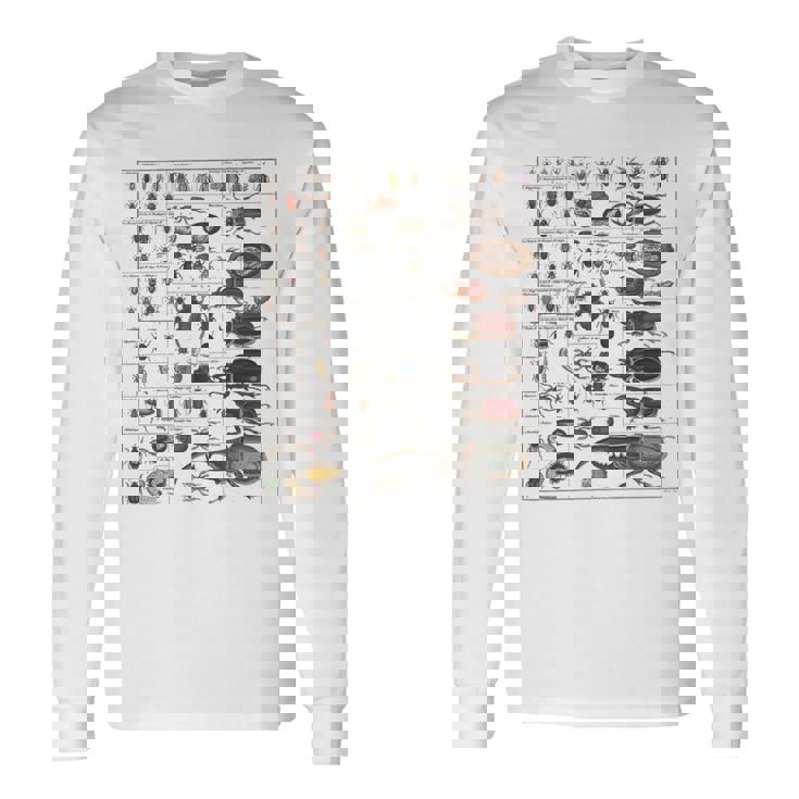 Insect Collection Species Bugs Vintage Chart Entomology Premium Long ...