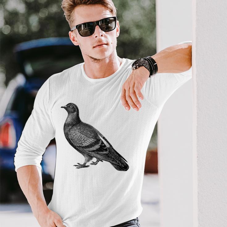 Editionintage English Pigeon Gray Langarmshirts Geschenke für Ihn