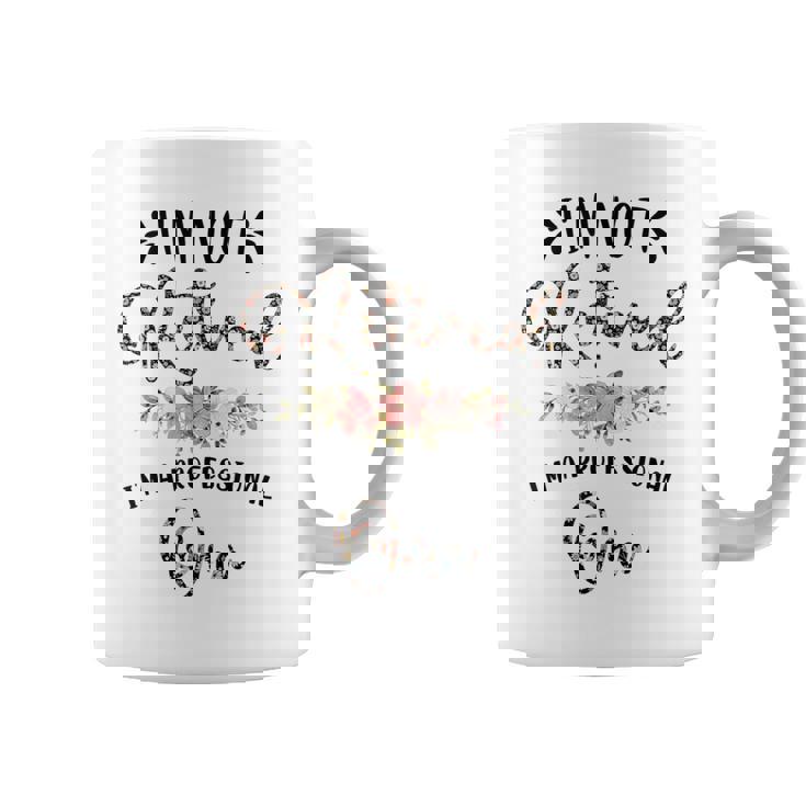 I'm Not Retired I'm A Professional Oma Retirement Oma Coffee Mug