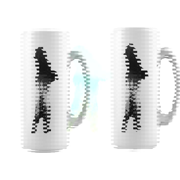 Image Ours Nature Animaux Sauvages Montagne Tasse