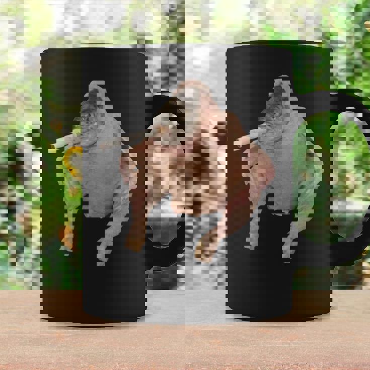 Fish Chicken Face Smoking a Cigarette Funny Meme Graphic Print Coffee Mug Gifts ideas
