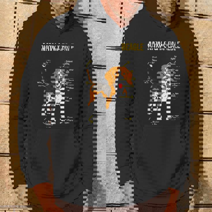 Anatomía De Beagle Dulce Beagle Sudadera Estilo de vida