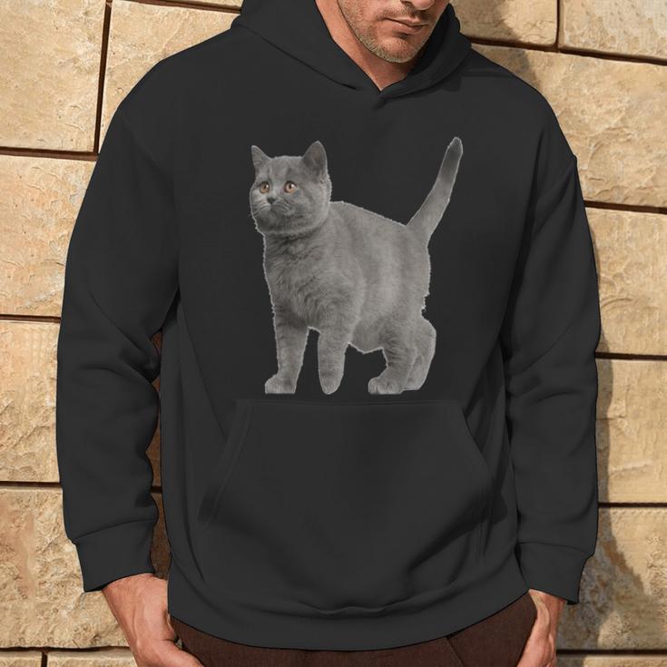 British Short Hair Cat Cat Cat Lovers Kapuzenpullover Lebensstil