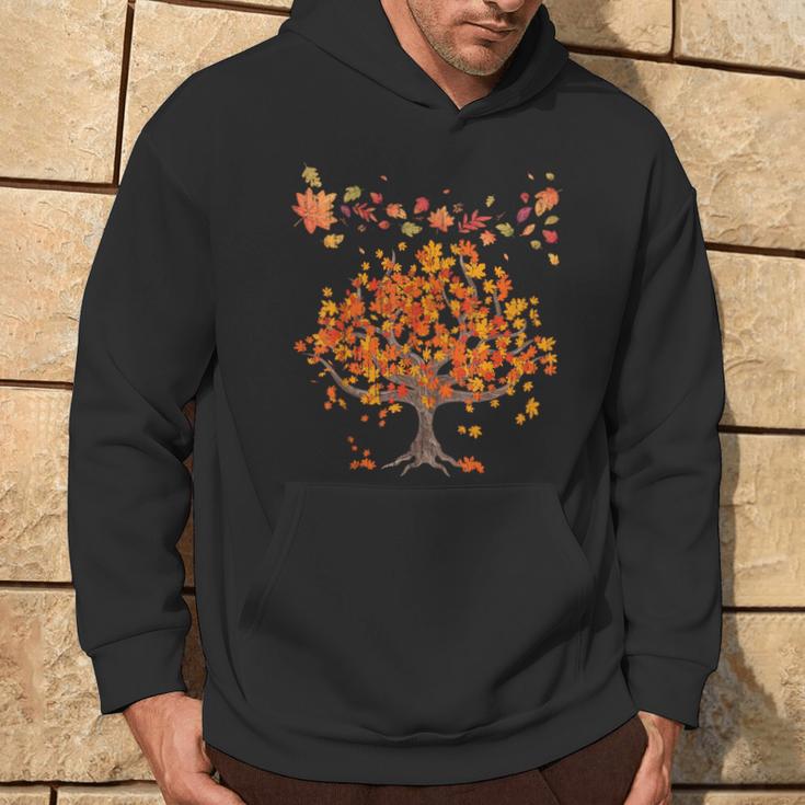 Colourful Leaves Autumn Tree Autumn Leaves Nature Autumn S Kapuzenpullover Lebensstil