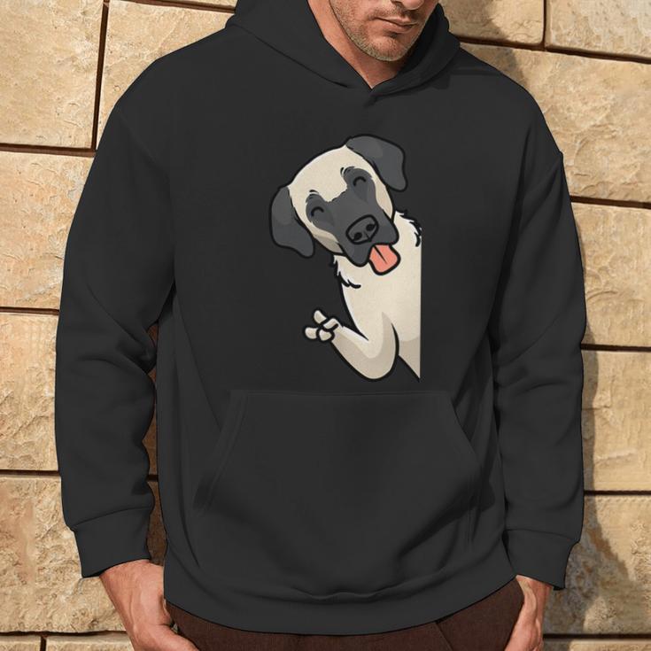 Kangal Dog Kapuzenpullover Lebensstil