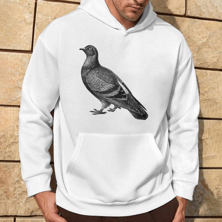 Editionintage English Pigeon Gray Kapuzenpullover Lebensstil