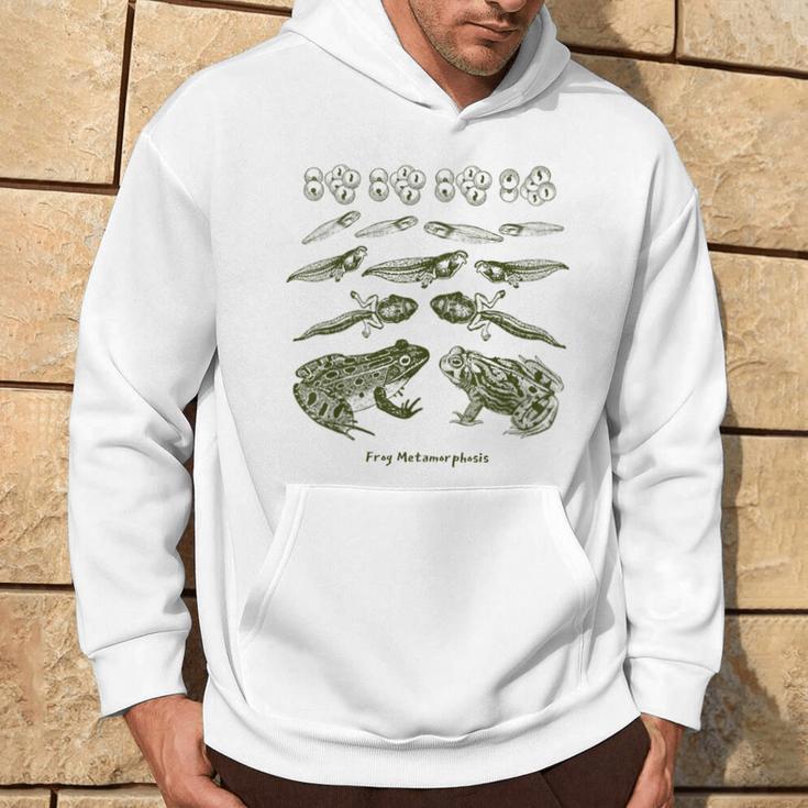 Frog Tadpole Life Cycle Metamorphosis Biology Science Kapuzenpullover Lebensstil