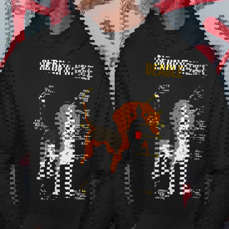 Anatomía De Beagle Dulce Beagle Sudadera Regalos divertidos