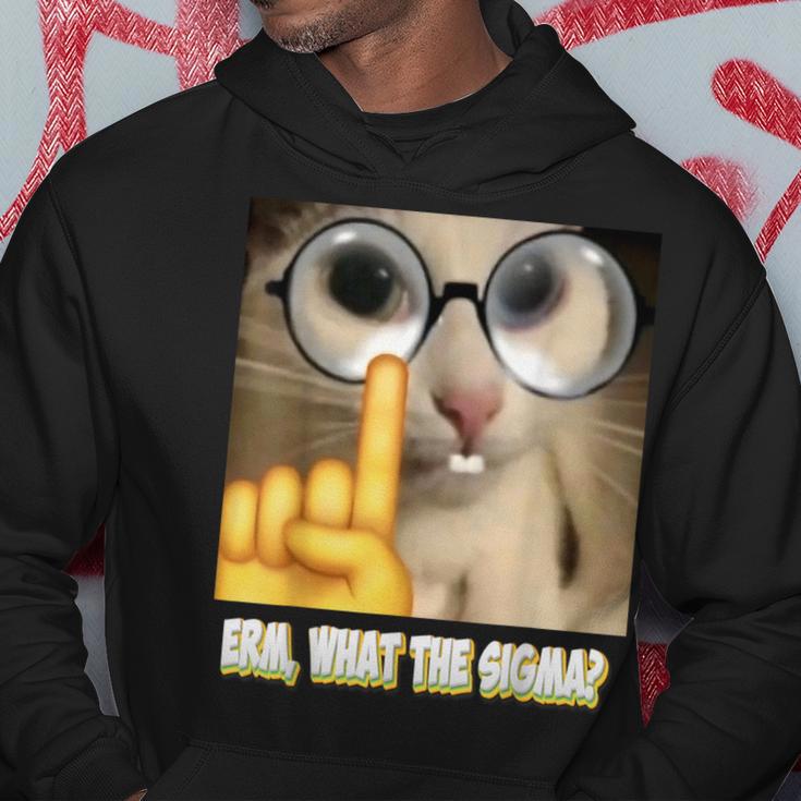 Cat Ehm Was Zum Sigma Cat Meme Kapuzenpullover Lustige Geschenke