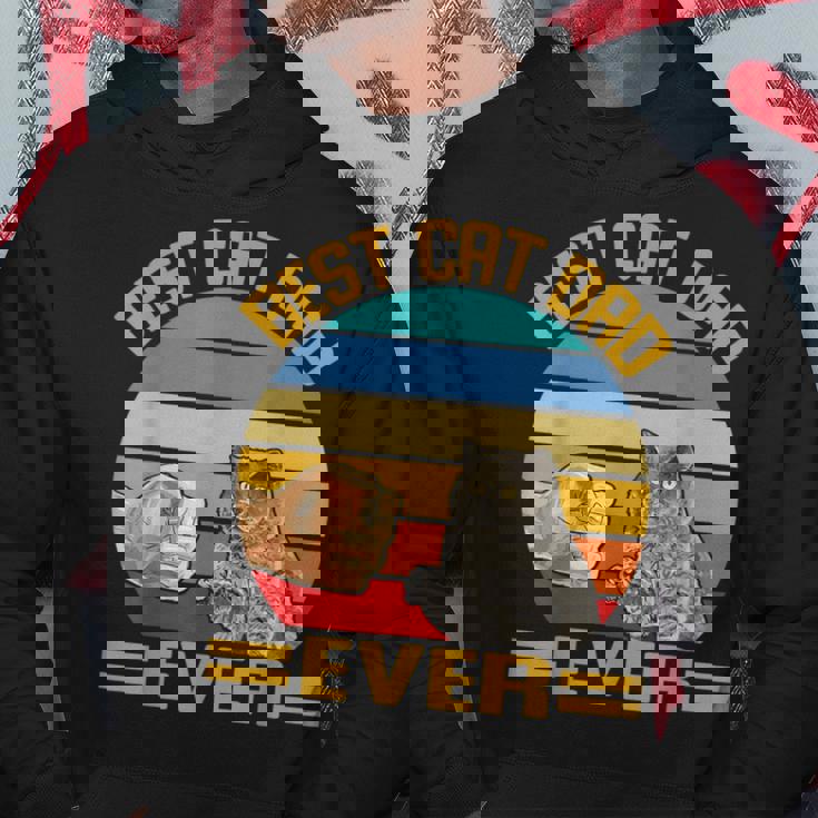 Vintage Best Cat Dad Ever British Shorthair Cats Dad Sudadera Regalos divertidos