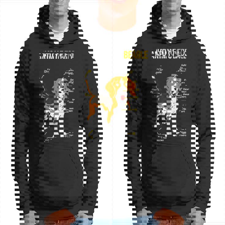 Anatomía De Beagle Dulce Beagle Sudadera