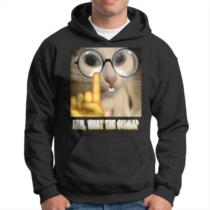 Cat Ehm Was Zum Sigma Cat Meme Kapuzenpullover