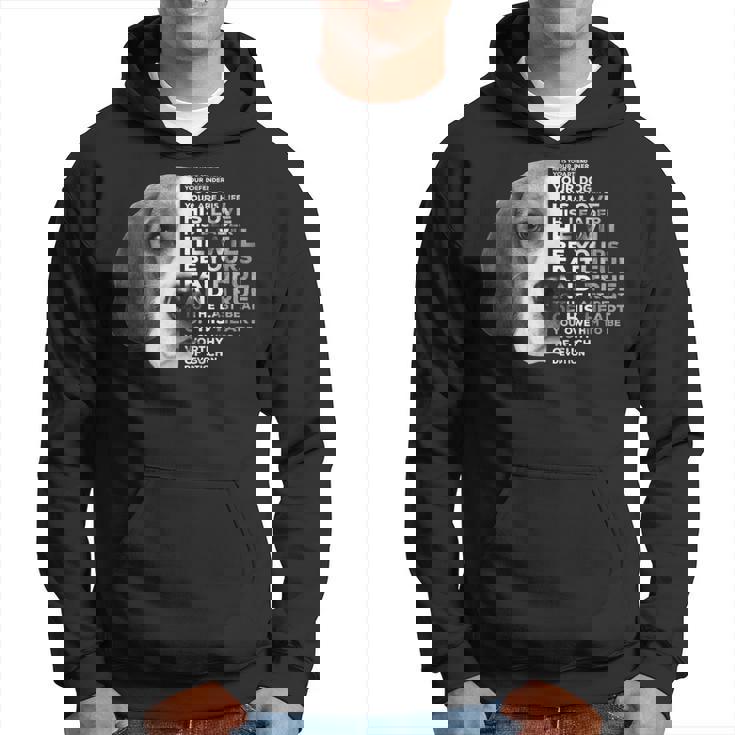 Beagle For Beagle Puppy Lovers Sudadera