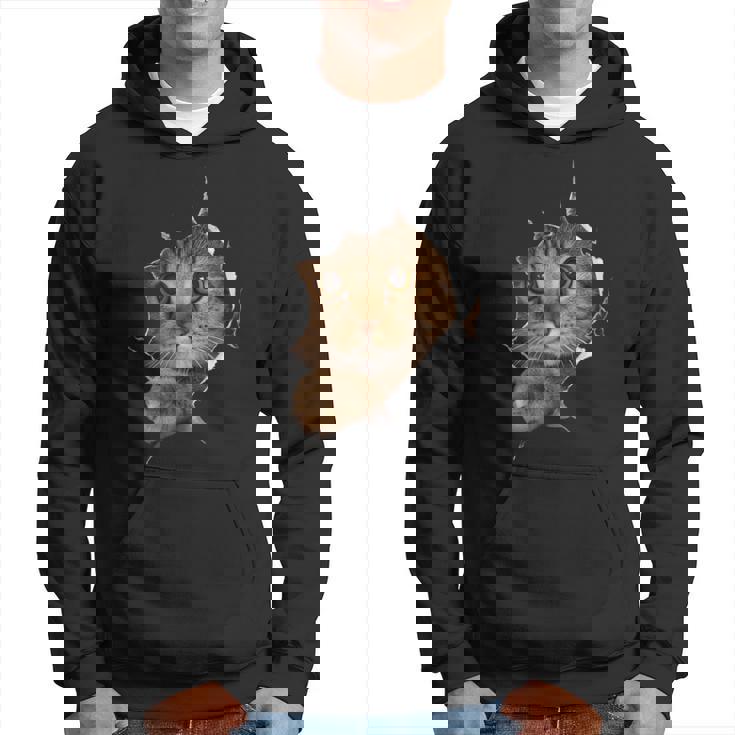 Divertido Arte De Gato Gordo Gatito Gordo Amante De Los Gatos