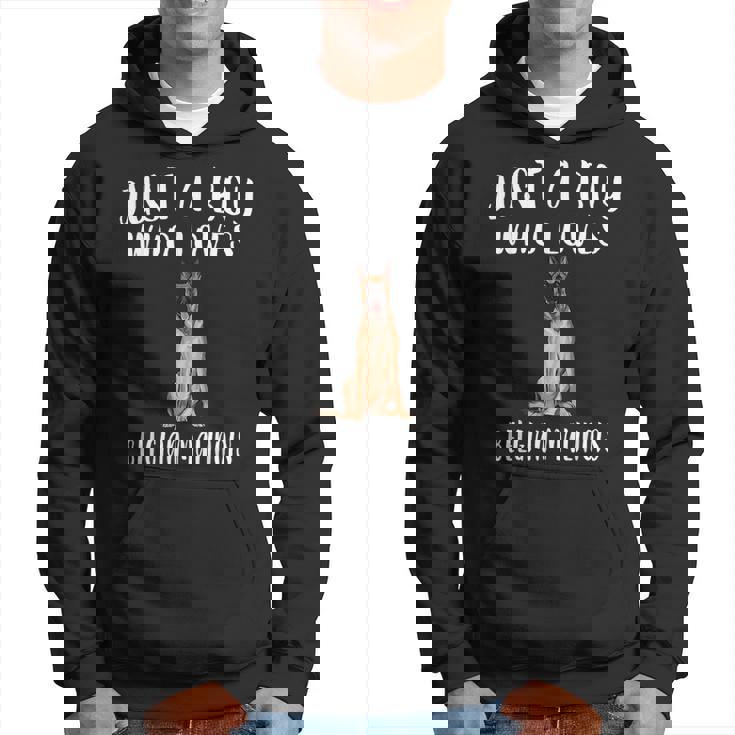 Im Just A Boy Who Loves Belga Malinois Regalo Para Amante De Perros Sudadera