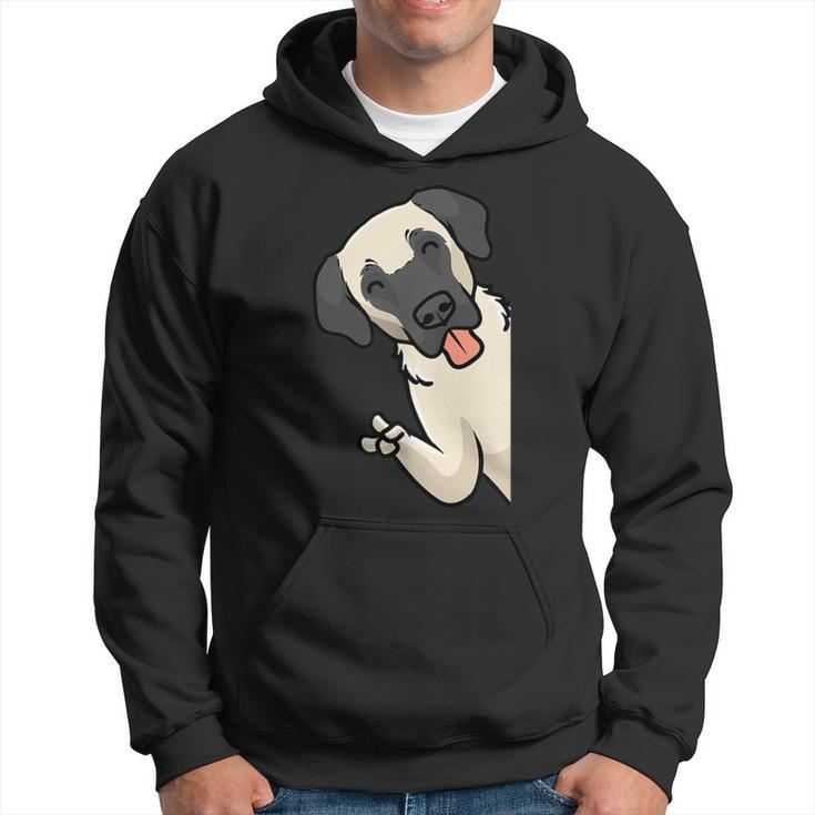 Kangal Dog Kapuzenpullover