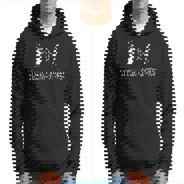 No Pasarás La Camisa De Regalo De Diodo De Ingeniero Electricista Sudadera