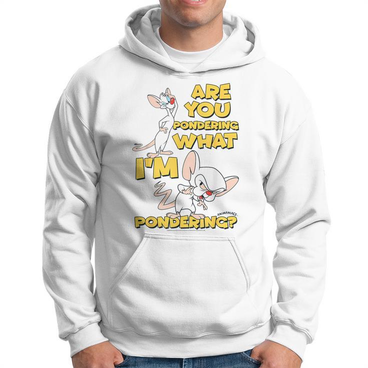 Pinky And The Brain Pondering Gray Kapuzenpullover