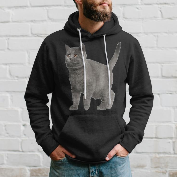 British Short Hair Cat Cat Cat Lovers Kapuzenpullover Geschenke für Ihn