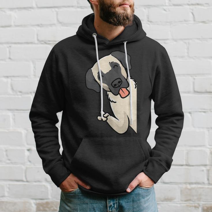 Kangal Dog Kapuzenpullover Geschenke für Ihn