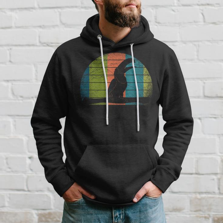 Retro Toucan Kapuzenpullover Geschenke für Ihn