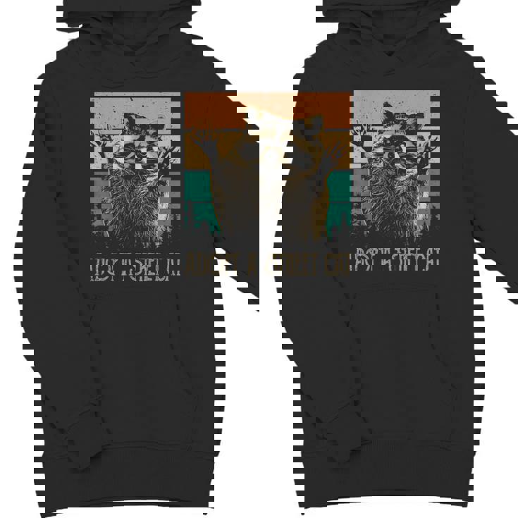 Adopt A Street Cat Unisex Youth Hoodie - Artsy Animal Design