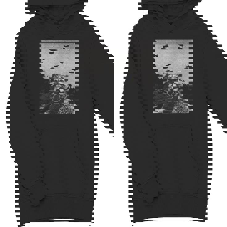 Alien UFO Raccoon Youth Hoodie - Fun Unisex Sweatshirt for Science Lovers