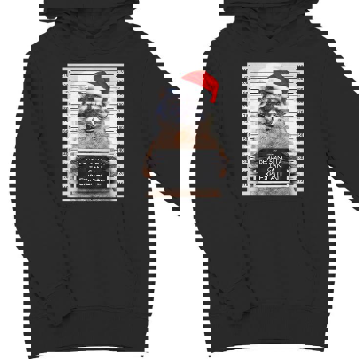 Christmas Raccoon Youth Hoodie - Dear Santa I Can Explain