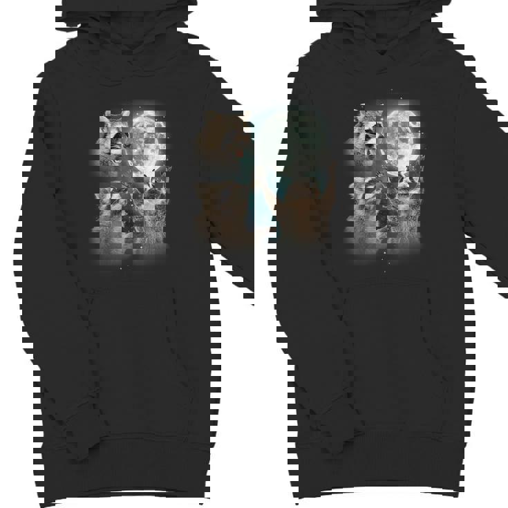 Raccoon Hoodie - Unique Design for Youth | Fun & Quirky Style