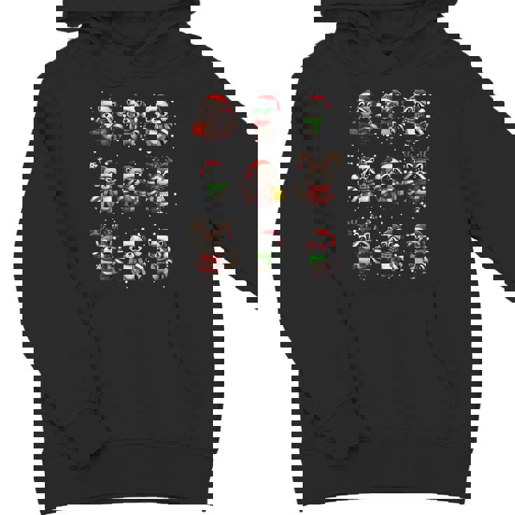 Raccoon Lover Christmas Hoodie - Unisex Youth Pajama Style