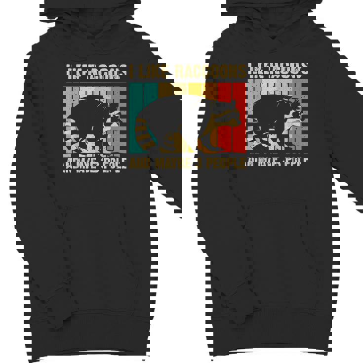 Raccoon Lover Introvert Hoodie - Unisex Youth Sweatshirt for Men and Women