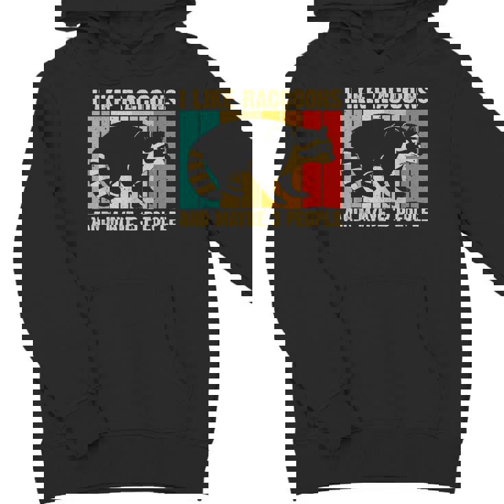 Raccoon Lover Unisex Hoodie - Youth Introvert Design